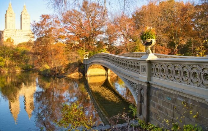 Puente Bow, Nueva York