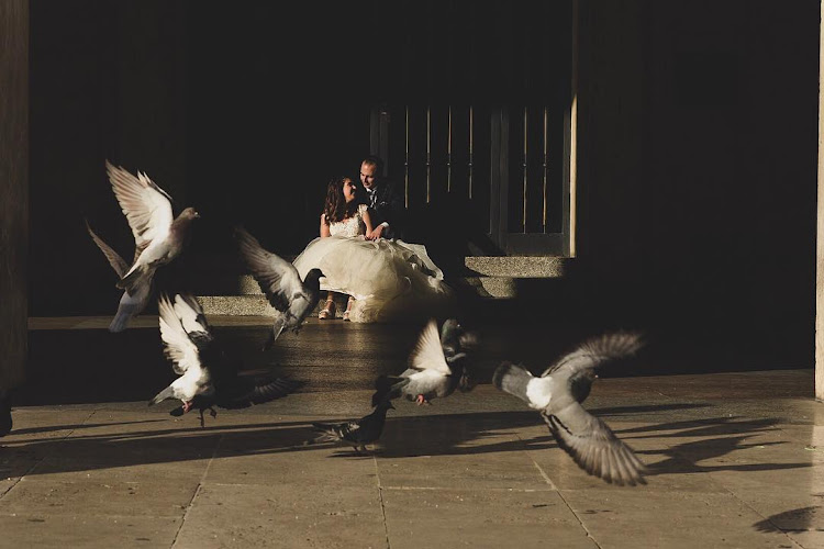 Visualseyra Visualseyra