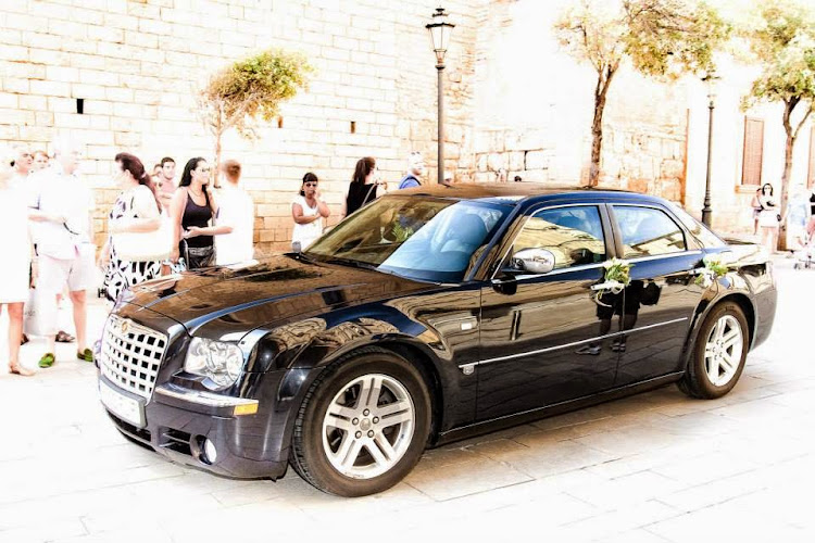 Show Palma Show Palma