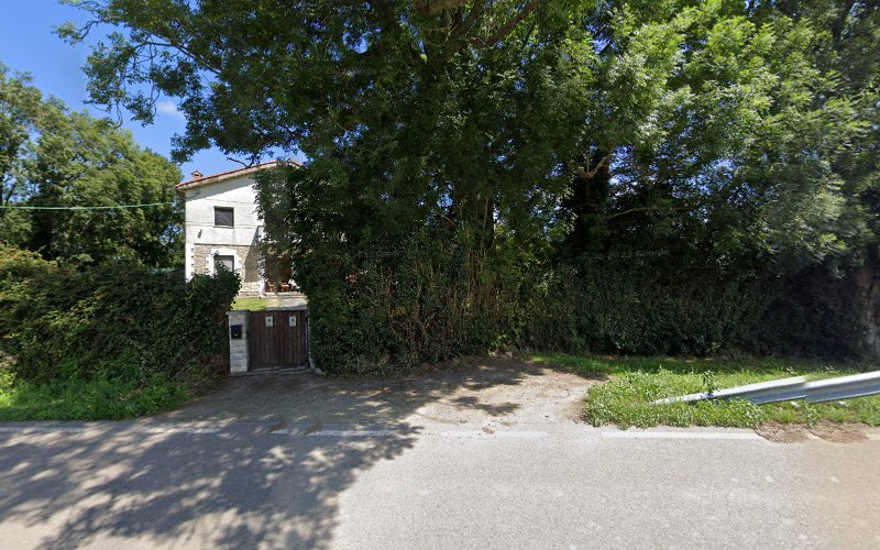 Cayetana Saiz fotografía