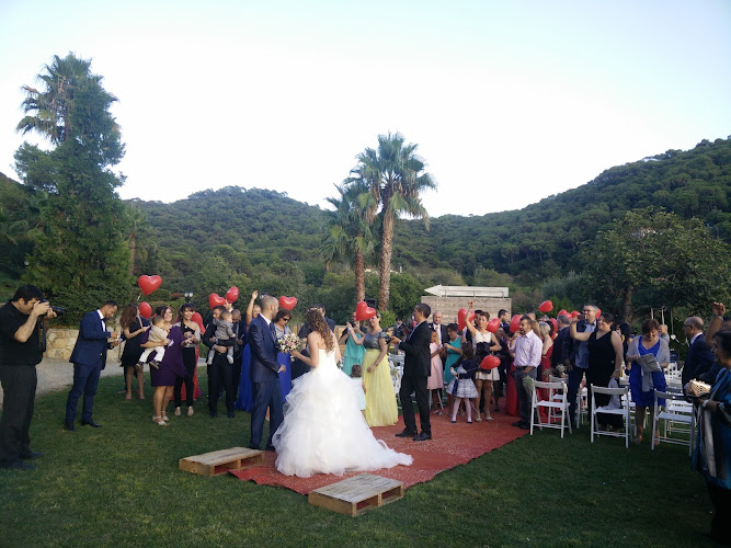 Bodas Mas Corts Bodas Mas Corts