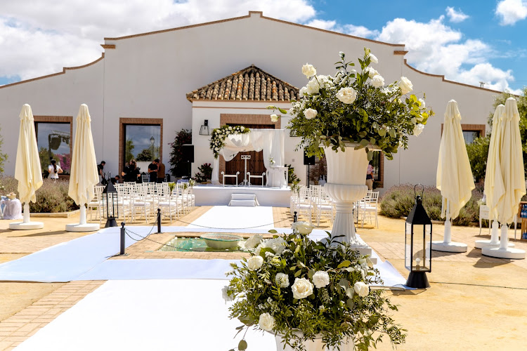 Bodas Patolavida Wedding Planner
