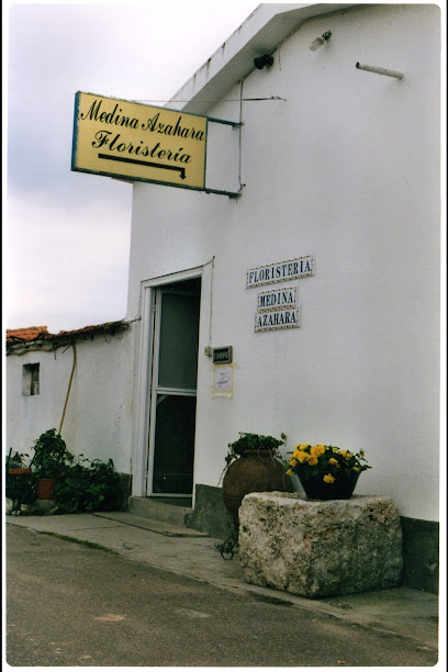 Sebastián Flores Sáez Sebastián Flores Sáez