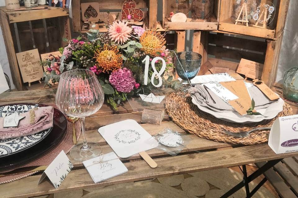 OCTOPUS Arte Creativo