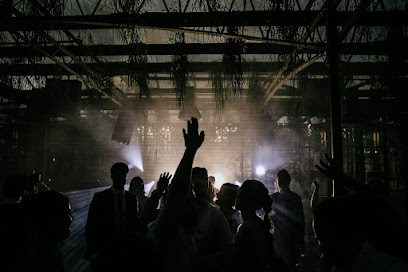 Not Real Dj Events - Opiniones