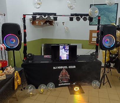 DJ Miguel Ceur - Opiniones