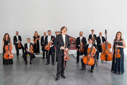 Concerto Málaga, orquesta de cuerdas española - Opiniones