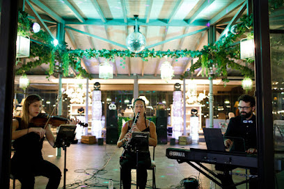 Música de Cámara EnClave Maestoso - Opiniones