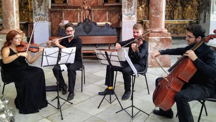 Sentir Sonoro - Opiniones Sentir Sonoro - Opiniones