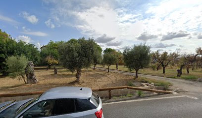 Finca Son Bonet - Opiniones