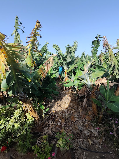 Finca Quiñones - Opiniones