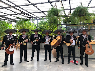 Mariachis mexicanos en Cantabria y el resto de España - Opiniones