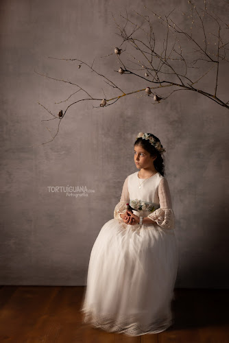 Mejores fotógrafos para bodas en Villarrodrigo de las Regueras